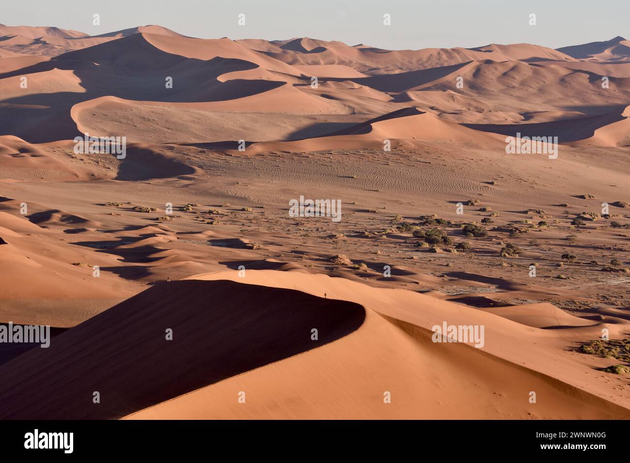 Dunes de sable rouge pétrifiées avec ciel visible, Sossusvlei, Namibie Banque D'Images