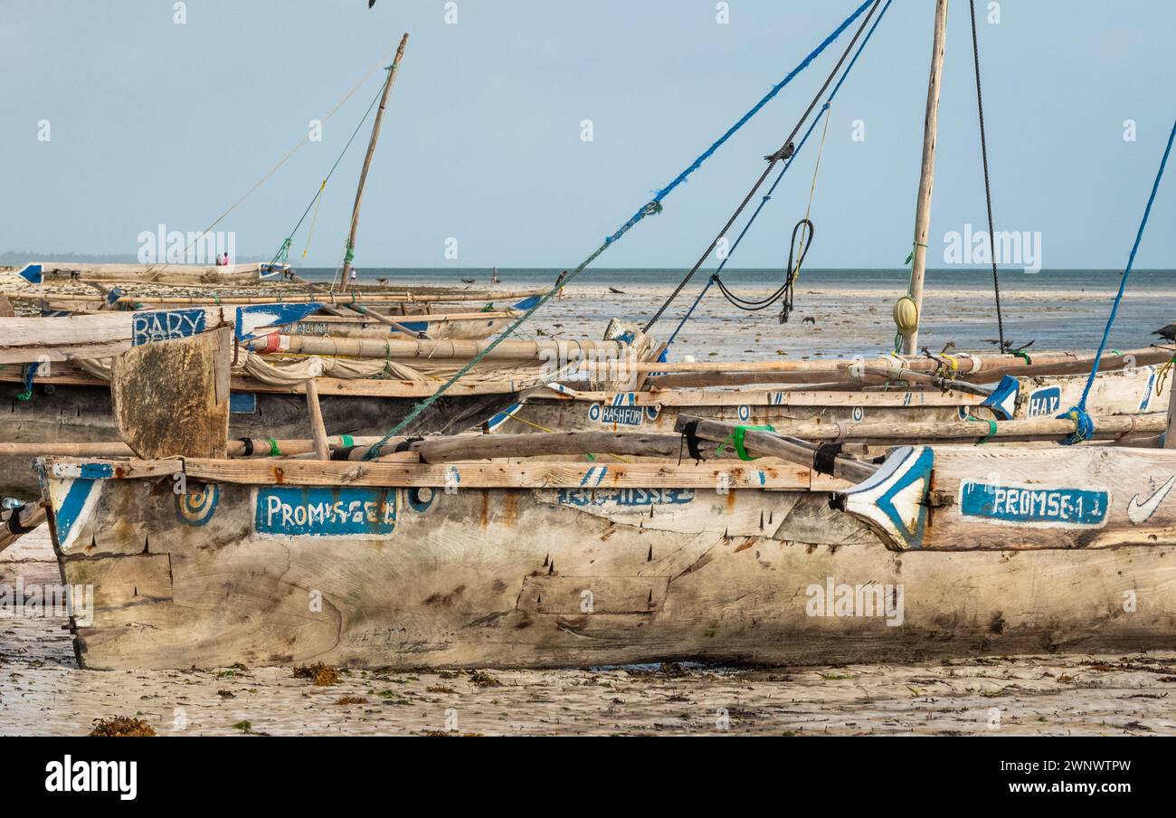 Un bateau traditionnel en bois à balançoire en bois s'est arrêté sur la plage de Jambiani, Zanzibar, Tanzanie. Banque D'Images