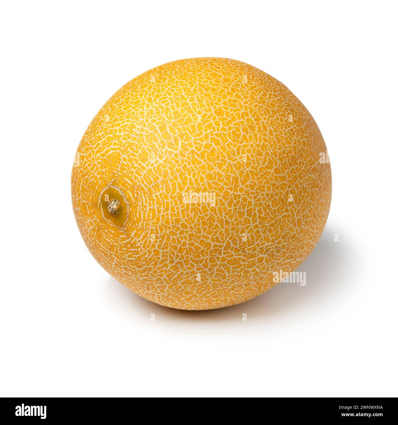 Melon Galia juteux sucré entier unique isolé sur fond blanc gros plan Banque D'Images