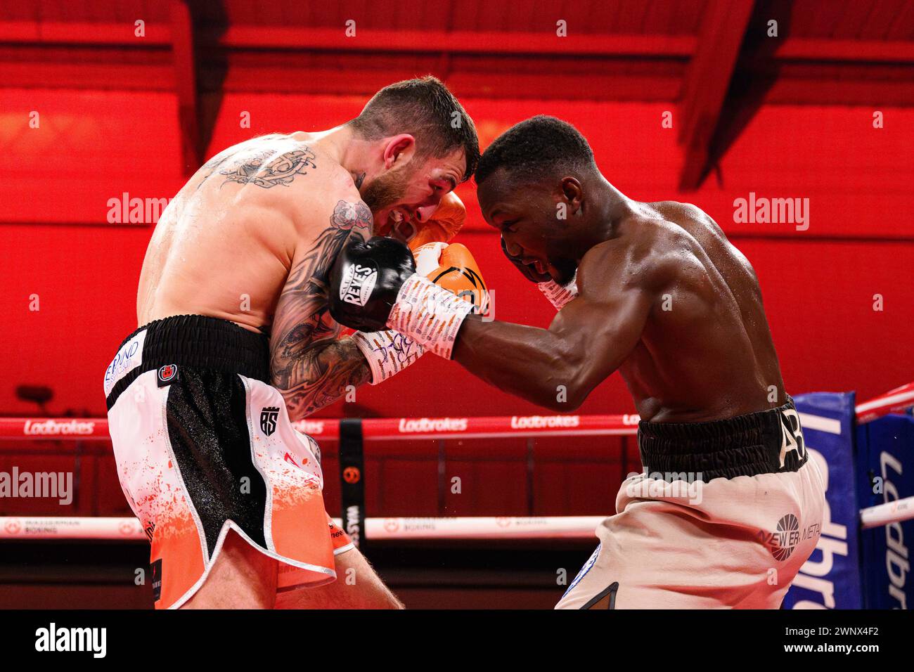 Abass Baraou vs Sam Eggington - UER European Super Welterweight combat au Telford International Centre le vendredi 1er mars 2024. LONDRES, ANGLETERRE. Banque D'Images