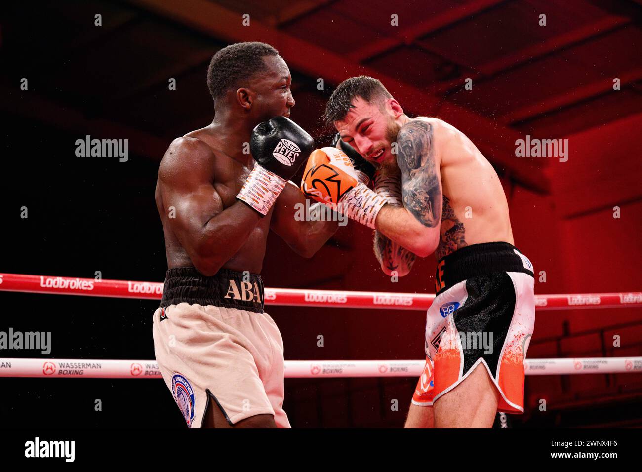 Abass Baraou vs Sam Eggington - UER European Super Welterweight combat au Telford International Centre le vendredi 1er mars 2024. LONDRES, ANGLETERRE. Banque D'Images