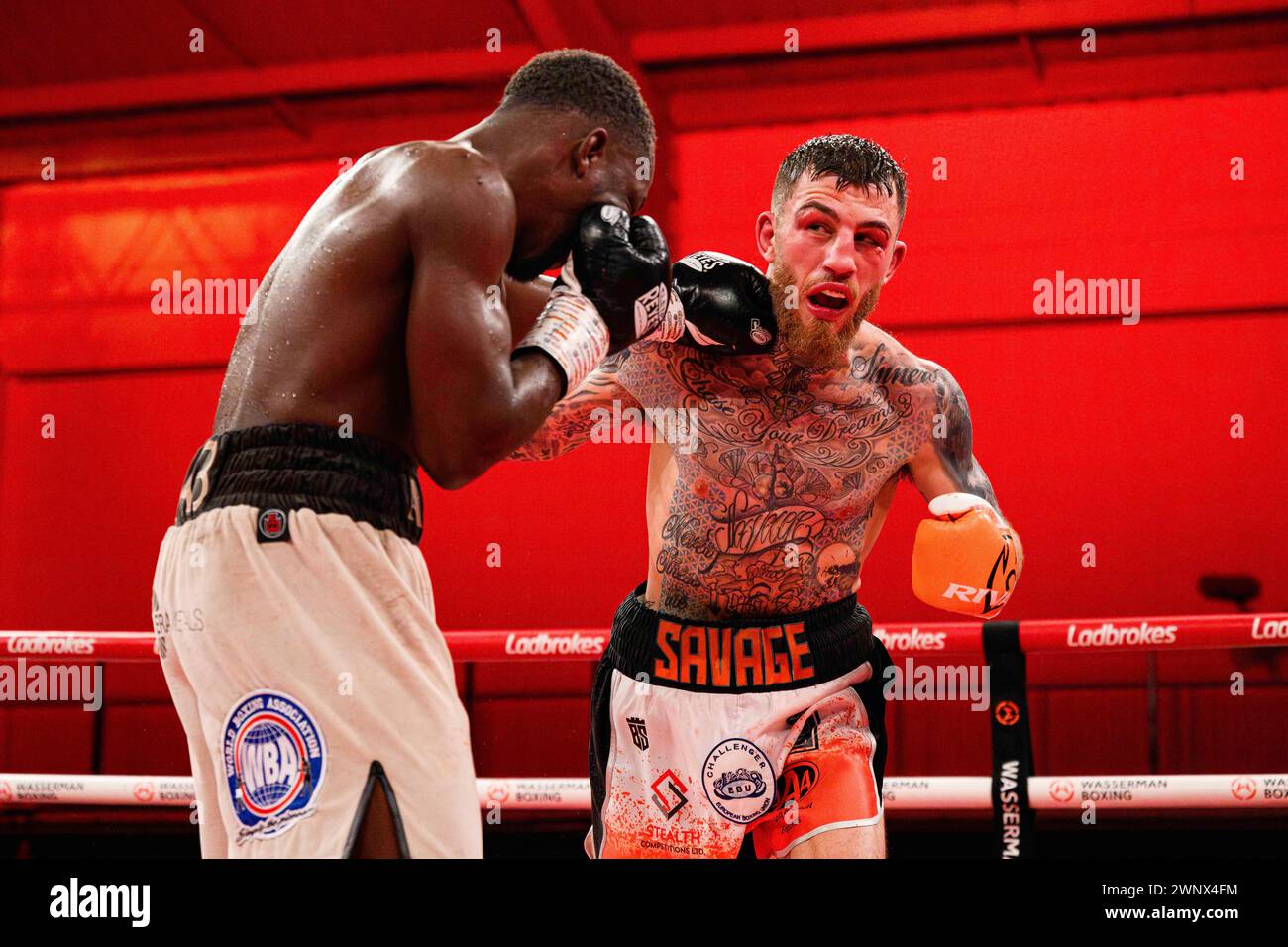 Abass Baraou vs Sam Eggington - UER European Super Welterweight combat au Telford International Centre le vendredi 1er mars 2024. LONDRES, ANGLETERRE. Banque D'Images