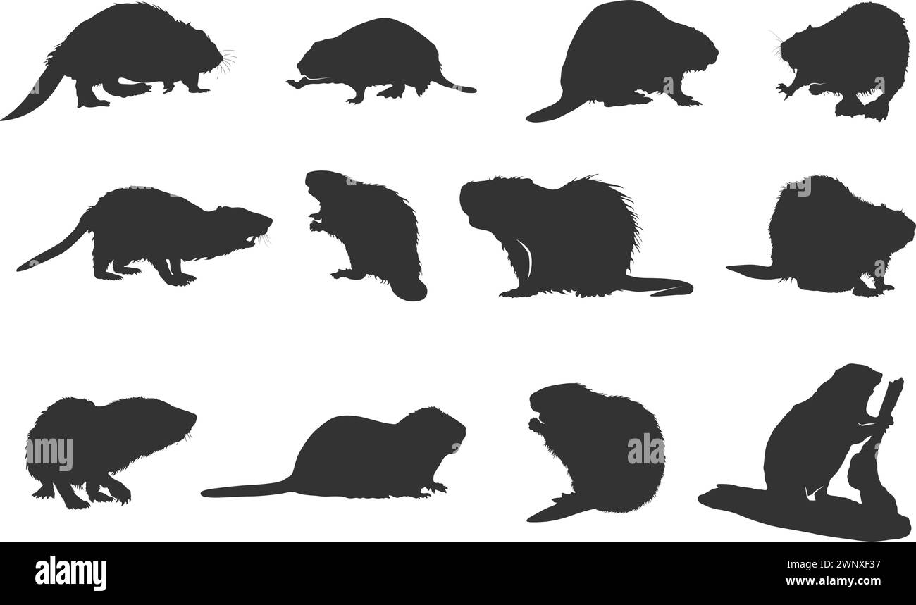 Silhouettes de castor, illustration vectorielle de castor Illustration de Vecteur
