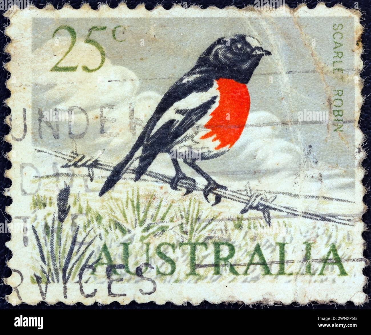 AUSTRALIE - VERS 1966 : un timbre imprimé en Australie montre un oiseau Scarlet robin (Petroica boodang), vers 1966. Banque D'Images