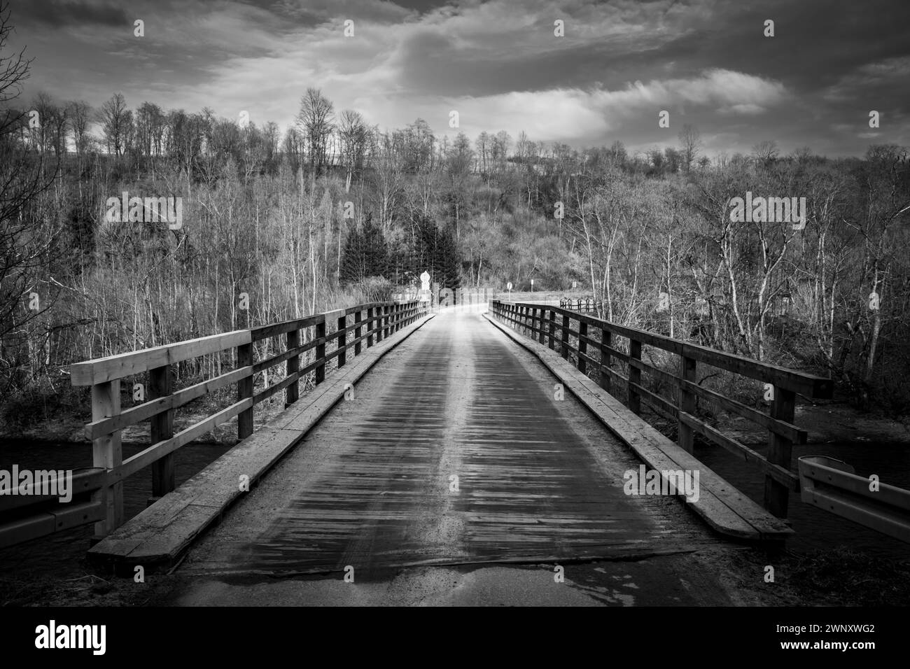 Pont en bois sur la rivière San. Montagnes de Bieszczady. Carpates orientales, Pologne. Banque D'Images