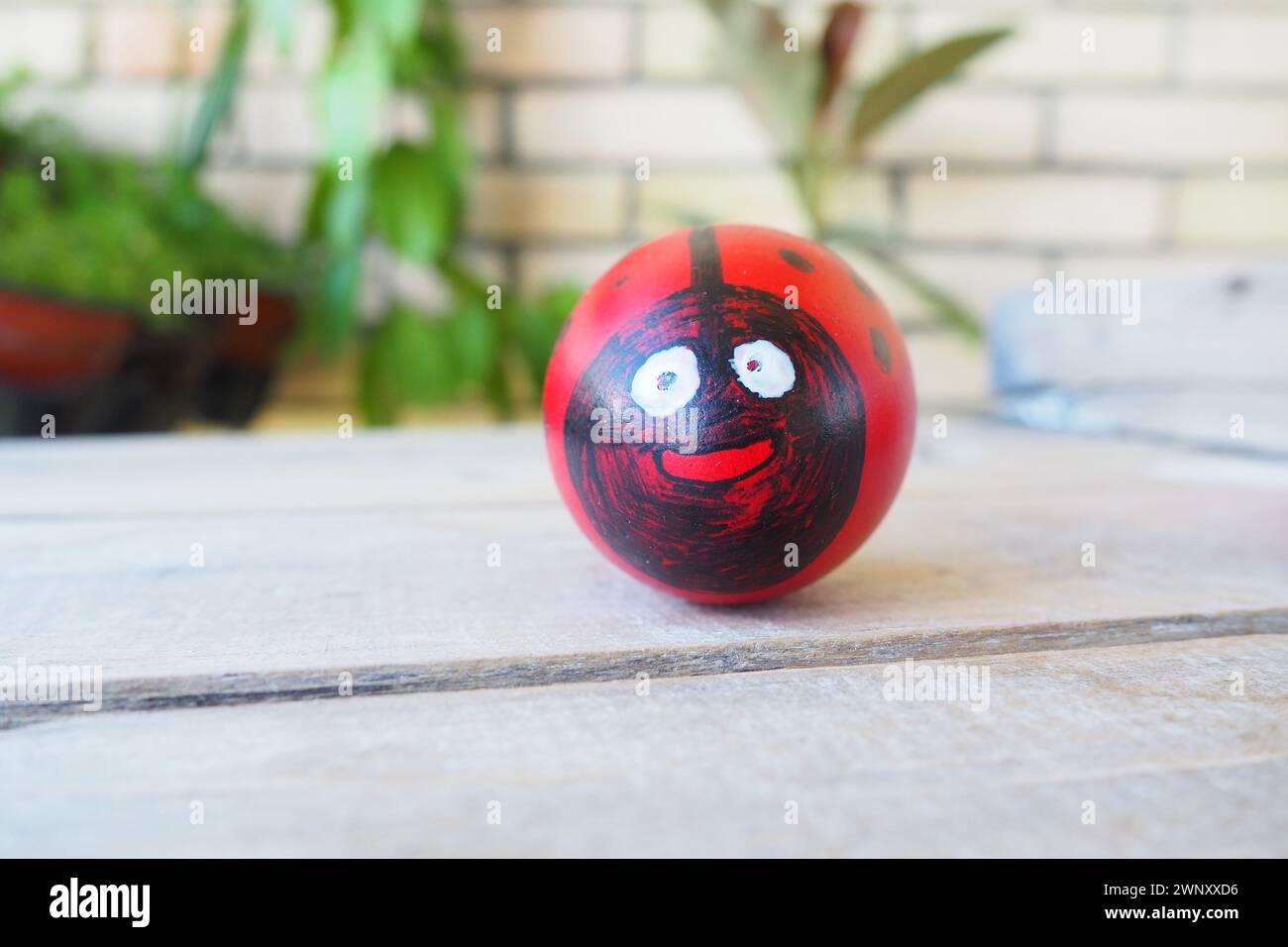 Oeuf de Pâques peint en rouge, blanc et noir avec un visage joyeux de coccinelle. Oeuf de poulet cuit teint avec coquille rouge. Fond de table en bois blanc. Grand Banque D'Images