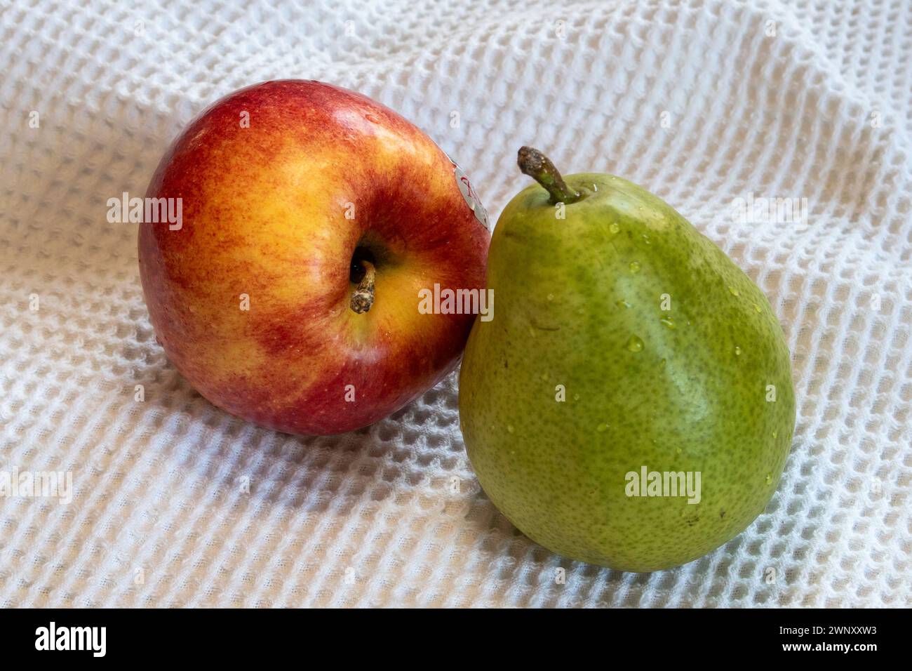 Apple and Pear Still Life, États-Unis, 2024 Banque D'Images