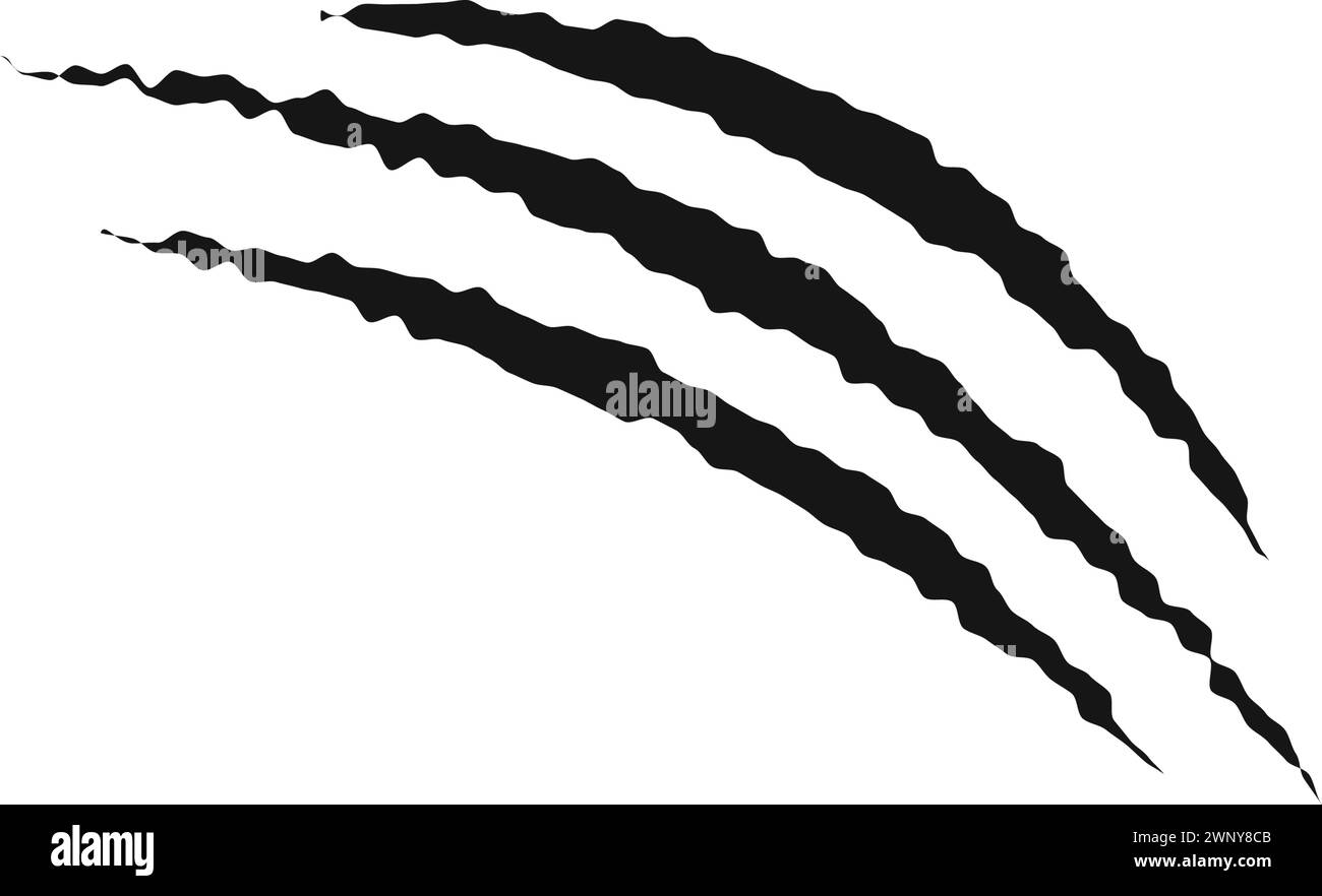 Marques de griffes de rayure. Tigre, ours, loup, panthère, monstre ou dragon talons traînent isolé sur fond blanc. Cicatrices déchirées effrayantes. Trace de lacération. Illustration graphique vectorielle. Illustration de Vecteur