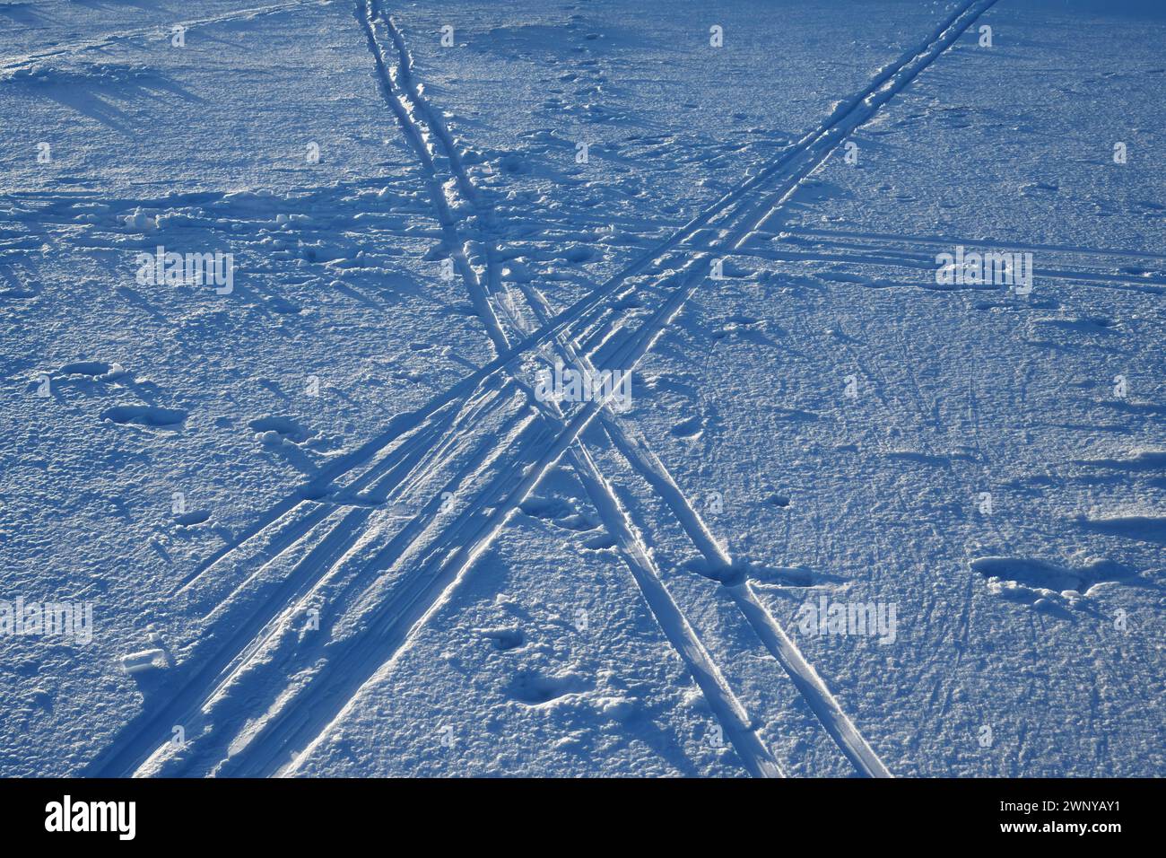 Traversée de pistes de ski Banque D'Images