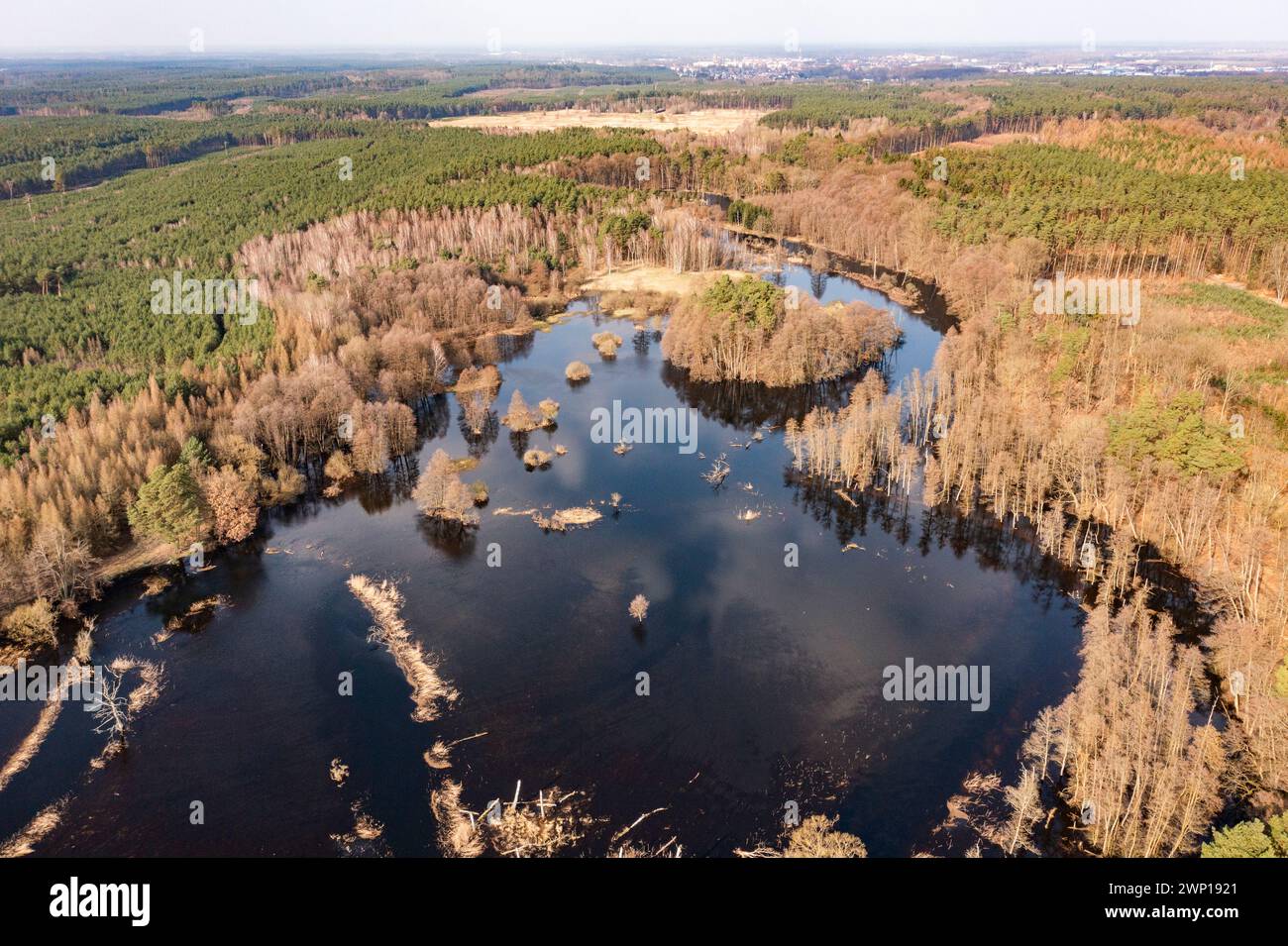 Champs, prairies et forêts inondés lors de précipitations excessives. Une rivière inondant les champs et les forêts, vue depuis un drone.. Banque D'Images