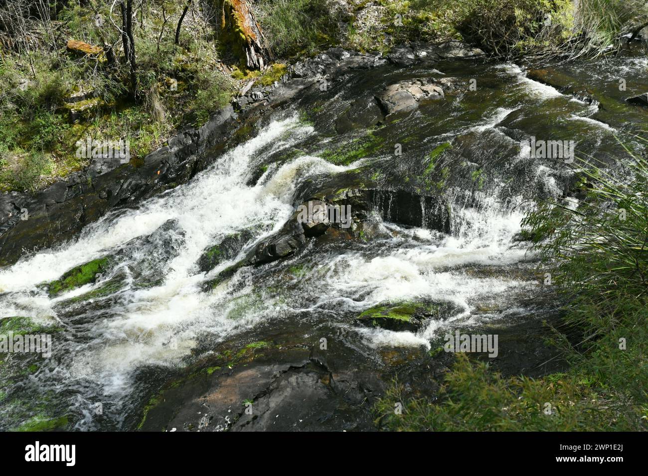 Beedelup Falls dans le parc national Greater Beedelup, WA Banque D'Images