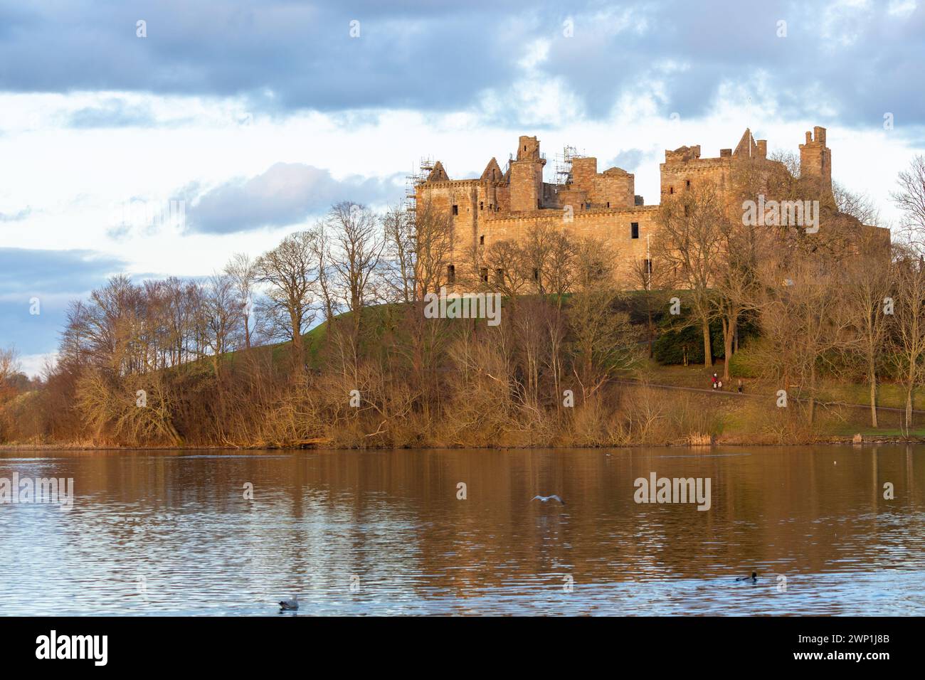 Vue du palais de Linlithgow, lieu de naissance de Marie Reine d'Écosse, un soir d'hiver. Linlithgow, West Lothian, Écosse Banque D'Images