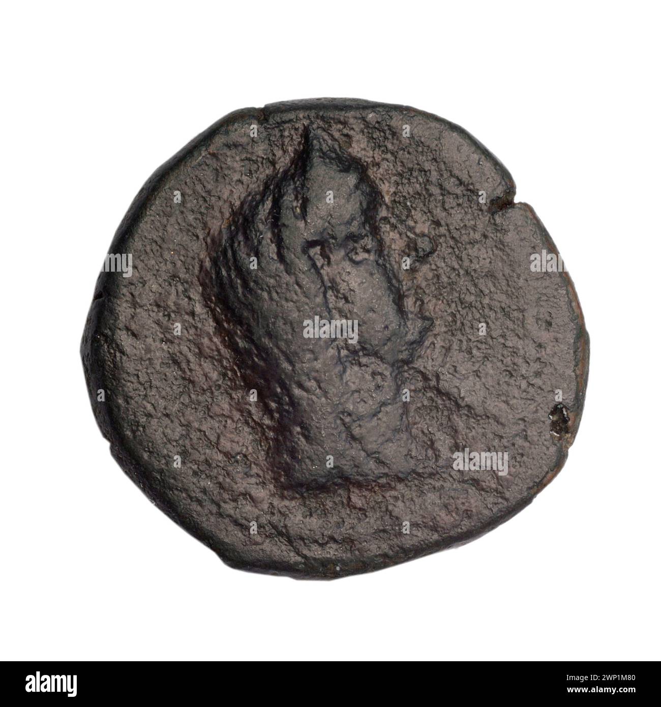 Une pièce de monnaie brune de Fanagoria datant de la fin du premier siècle av. J.-C. La pièce présente une iconographie d'Aphrodite et d'Aphrodite Urania, y compris des têtes féminines avec des diadèmes et des voiles, ainsi que des représentations de navires, de balles et de prora. Il fait partie de la collection Terlecki et a été acquis par achat. Banque D'Images