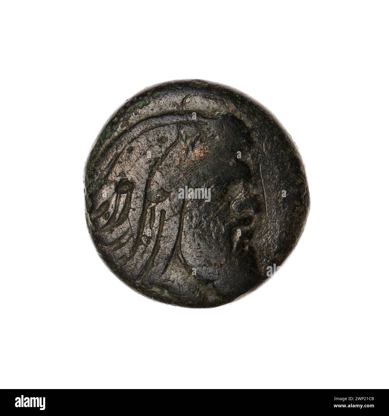 Pièce de monnaie brune ; Pantikapaion ; 330-315 BC (330-00-00-315-00-00) ; Nadczarzyorze, satir (mitol.), Terlecki, Ignacy (1860-1916), Terlecki, Ignacy (1860-1916)-collection, griffons, esturgeons, a Protoma griffin (iconogr.), poisson, achat (provenance) Banque D'Images