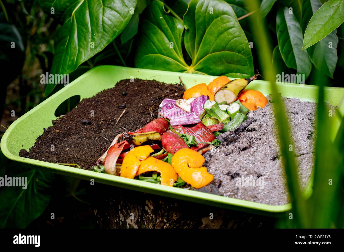 Le compost et le sol composté cycle comme un tas de compostage des déchets de cuisine en décomposition avec des fruits et légumes des déchets Déchets organiques se transforment en engrais Banque D'Images