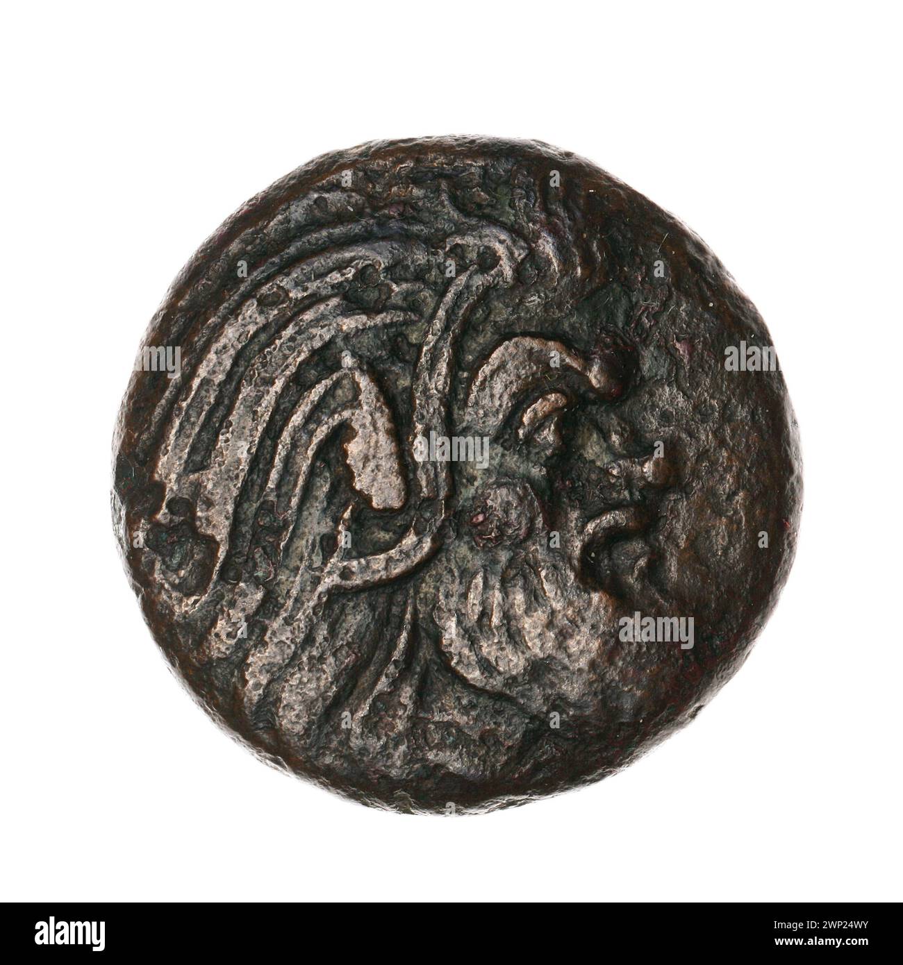 Pièce de monnaie brune ; Pantikapaion ; 330-315 BC (330-00-00-315-00-00);Nadczarzyorze, State Art collections (Varsovie - 1922-1939) - collections, satir (mitol.), Gryfy, esturgeons, Protoma Gryf (iconogr.), transfert (provenance), poisson Banque D'Images