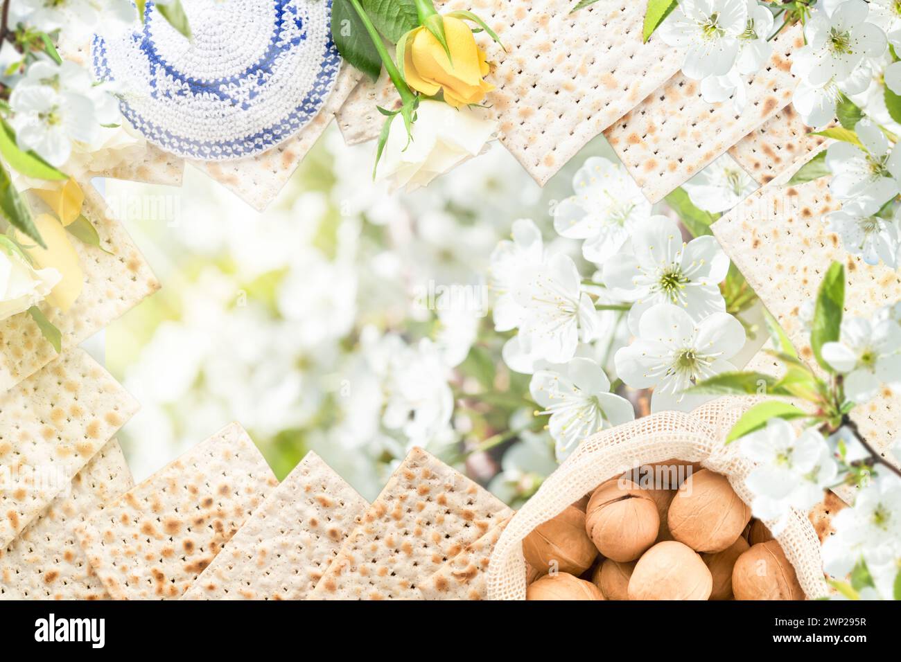 Concept de célébration Passover seder. Matzah, noyer casher, roses blanches et jaunes devant le jardin d'arbres en fleurs printanières et paysage de fleurs avec s. Banque D'Images