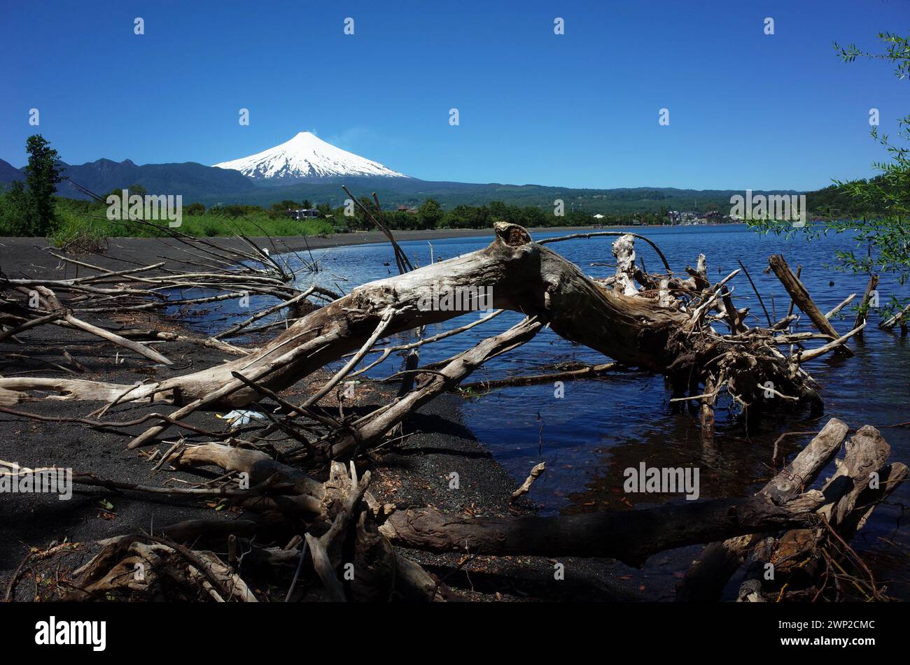 Troncs d'arbres morts tombés dans l'eau du lac Villarrica et sable volcanique noir avec vue sur le volcan Villarrica enneigé. Nature du Chili. Pucon Banque D'Images
