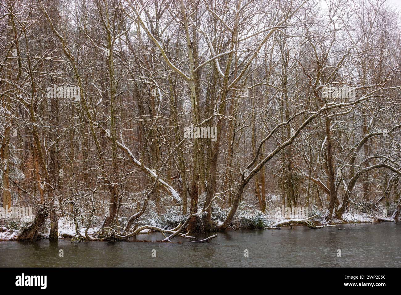 La rivière South Holston et l'île Osceola lors d'un événement de neige à Bristol, Tennessee. Banque D'Images