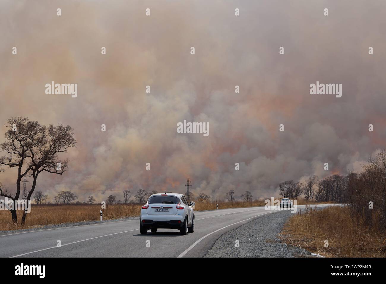 Vladivostok. 5 mars 2024. Cette photo prise le 5 mars 2024 montre un feu de forêt dans le territoire de Primorye en Russie. Les feux de forêt qui ont balayé le territoire du Primorye méridional de la Russie au cours du week-end se sont étendus à 7 400 hectares, tandis qu'un nouvel incendie a éclaté dans le parc national du pays du léopard, ont rapporté mardi les médias locaux. Au cours du week-end dernier, des feux de forêt de grande ampleur se sont enflammés dans le district de Khasansky, dans le sud de Primorye. Lundi matin, le nombre de pompiers était passé à 300 personnes. Crédit : Guo Feizhou/Xinhua/Alamy Live News Banque D'Images