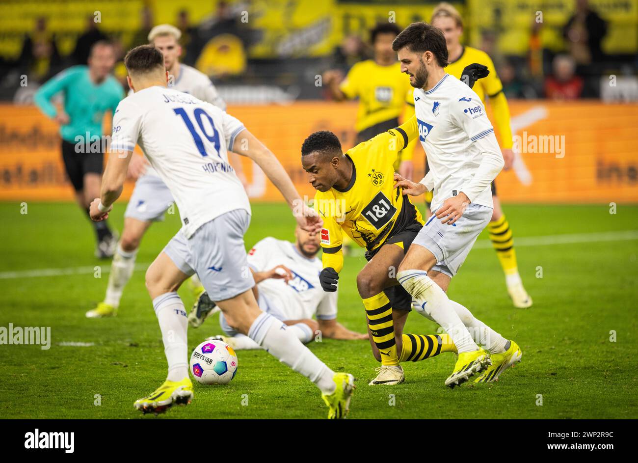 Dortmund Allemagne. 25 février 2024. Youssoufa Moukoko (BVB) Florian Grillitsch (1899) Borussia Dortmund - TSG 1899 Hoffenheim 25.02.2024 Copyright (nu Banque D'Images