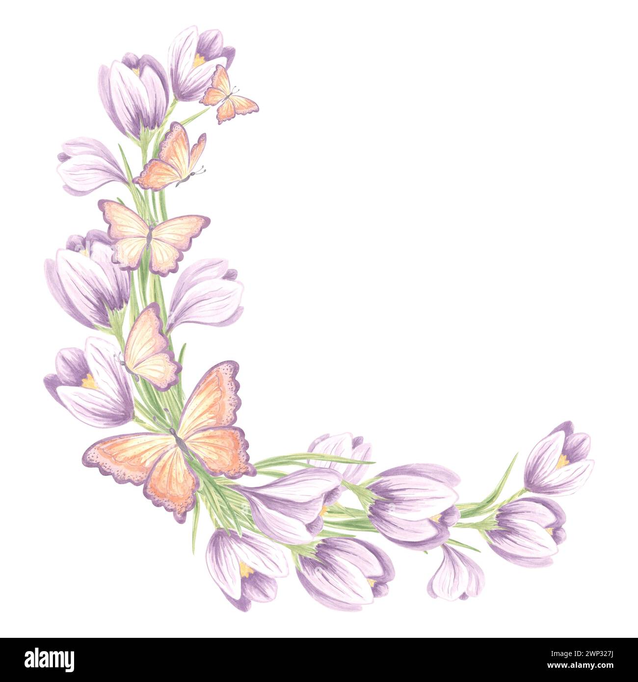 Cadre rond de fleurs de crocus avec des papillons. Illustration isolée de l'aquarelle dessinée à la main. Couronne printanière florale de safran. Modèle avec copie spa Banque D'Images