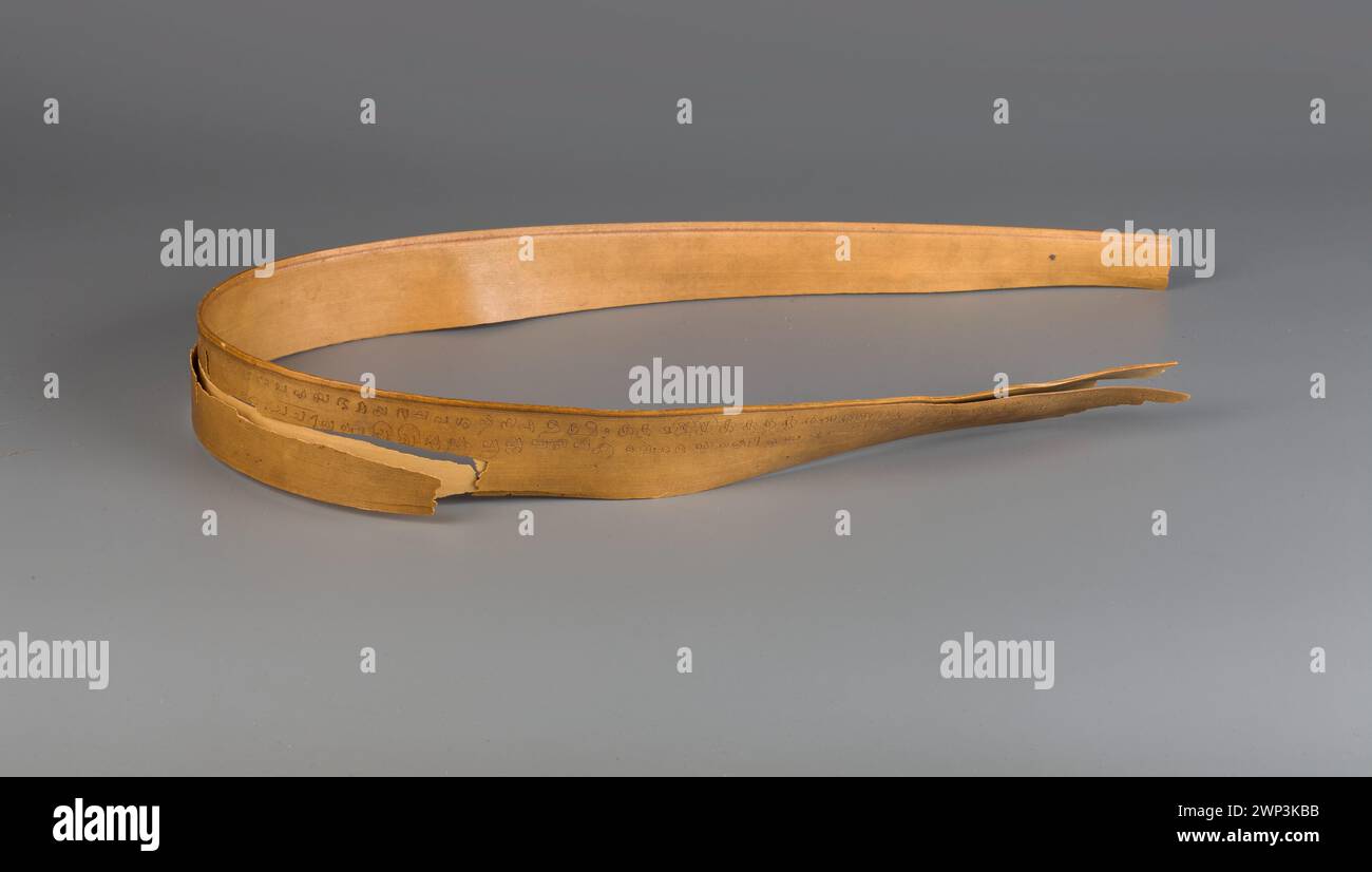 Une étude du XIXe siècle des inscriptions sur les lignes de palmier représentant l'alphabet cinghalais, illustrant des aspects de l'art et de la culture bouddhistes et indiens. Banque D'Images