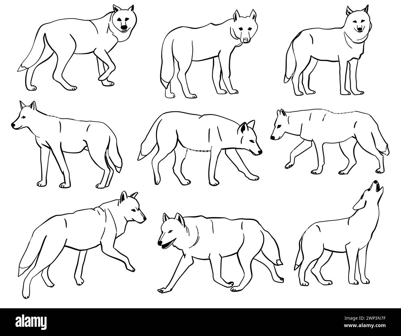 Ensemble silhouettes de loup, grand pack de conception de silhouette vectorielle, fond blanc isolé Illustration de Vecteur