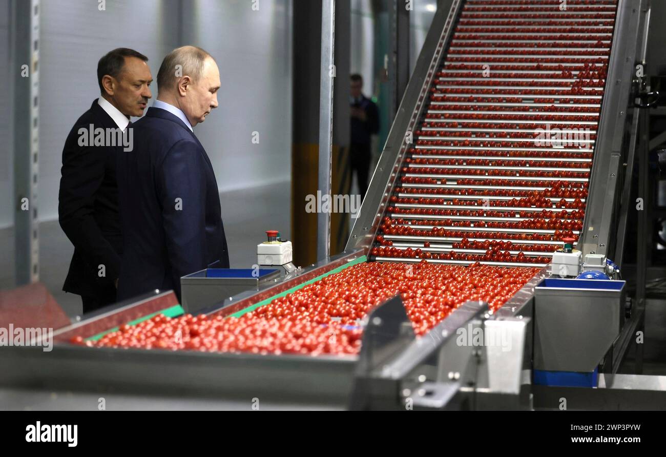 Solnechnodolsk, Russie. 05 mars 2024. Le président russe Vladimir Poutine, à droite, accompagné du président de l'ECO-culture Agro-Industrial Holdings Alexander Rudakov, à gauche, voit la machine robotisée de tri des tomates dans les serres de Solnechny Dar, le 5 mars 2024 à Solnechnodolsk, territoire de Stavropol, Russie. Crédit : Mikhail Metzel/Kremlin Pool/Alamy Live News Banque D'Images