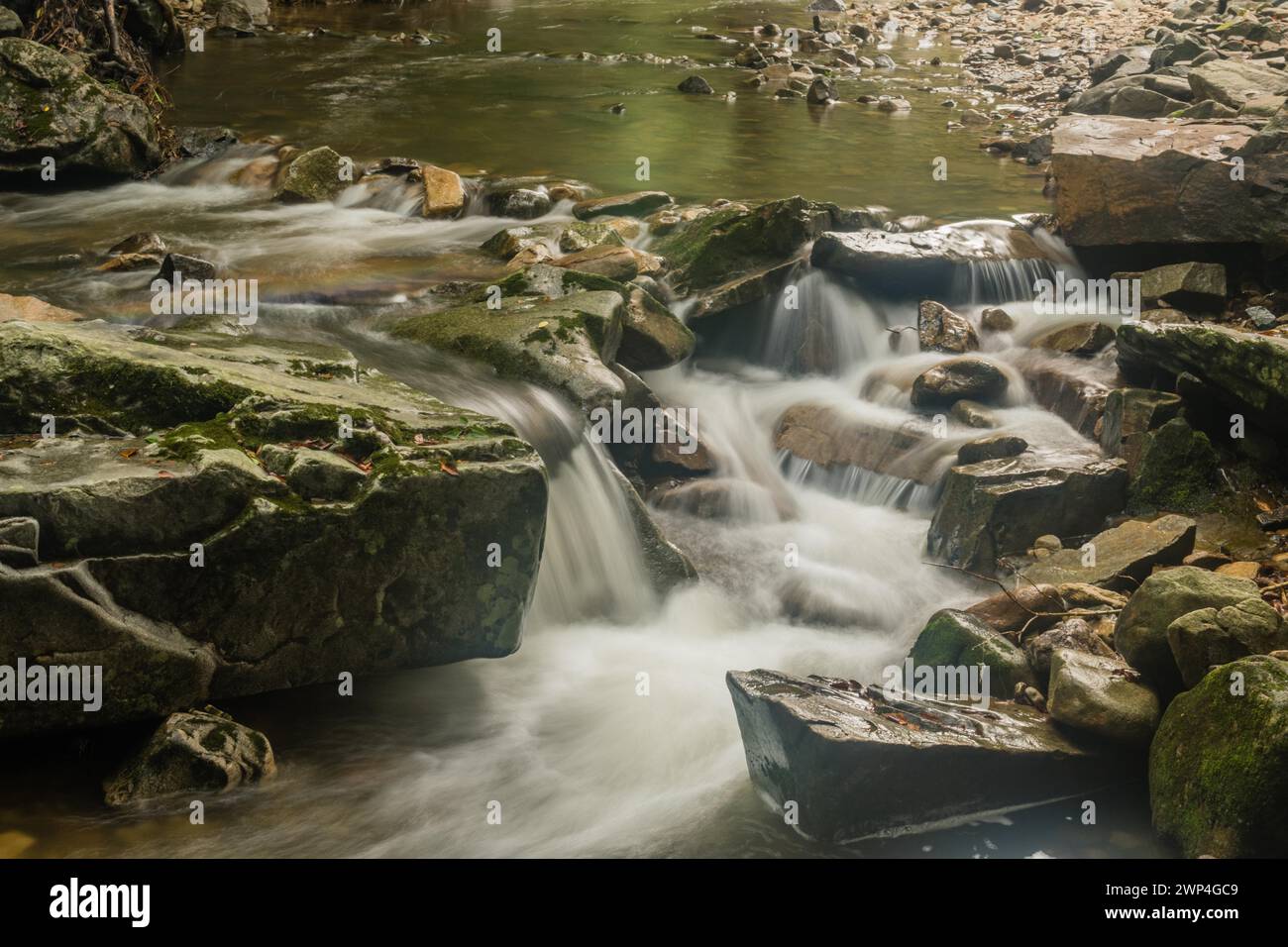Gros plan de l'eau d'un petit ruisseau de montagne en cascade sur des rochers et des rochers en Corée du Sud Banque D'Images