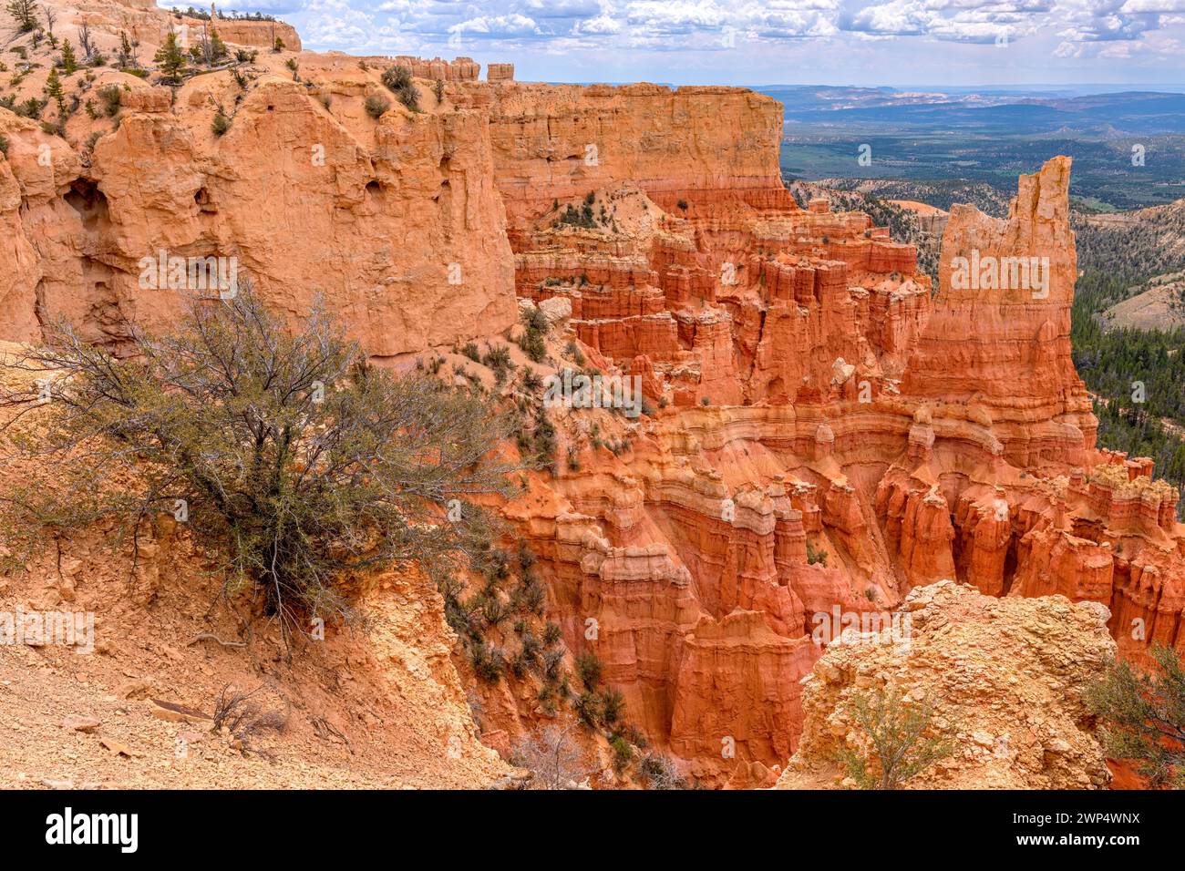 Canyon dans le parc national de Zion, Utah, États-Unis Banque D'Images
