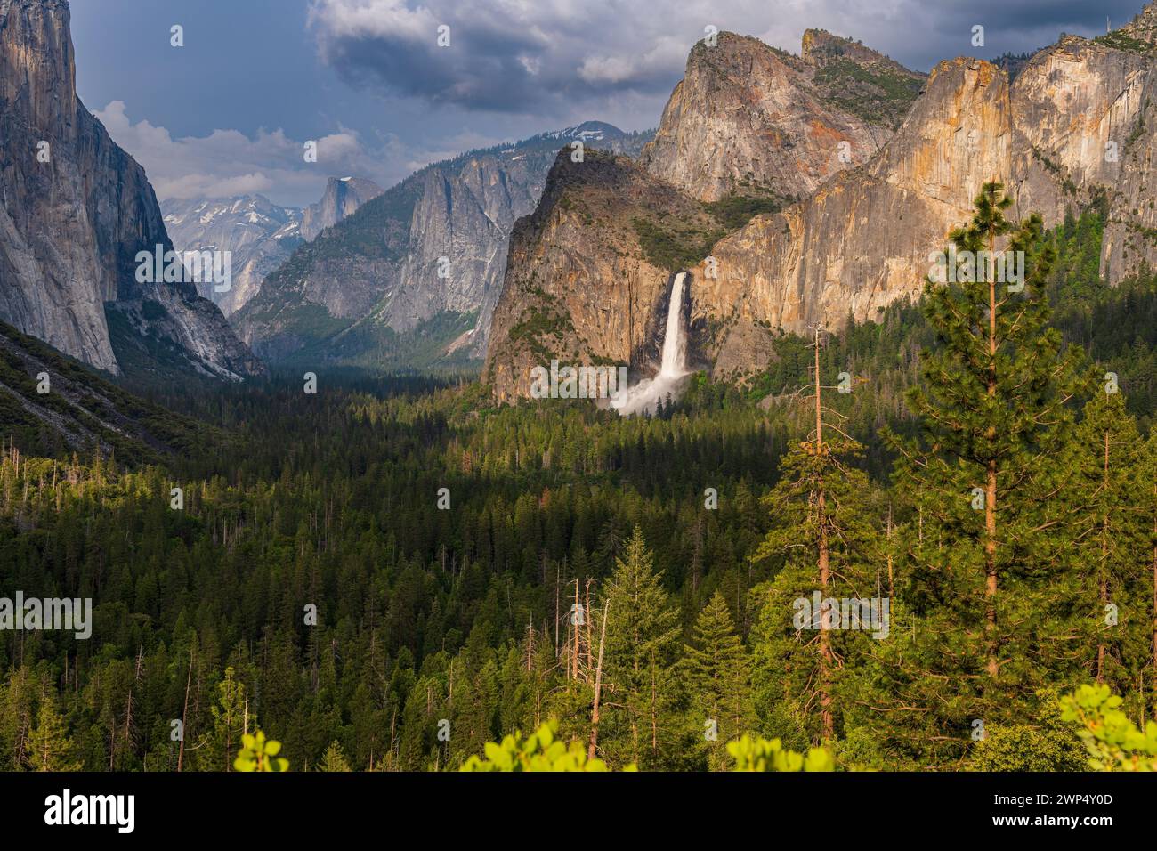 Vue panoramique de Yosemite Valley, Californie, États-Unis Banque D'Images