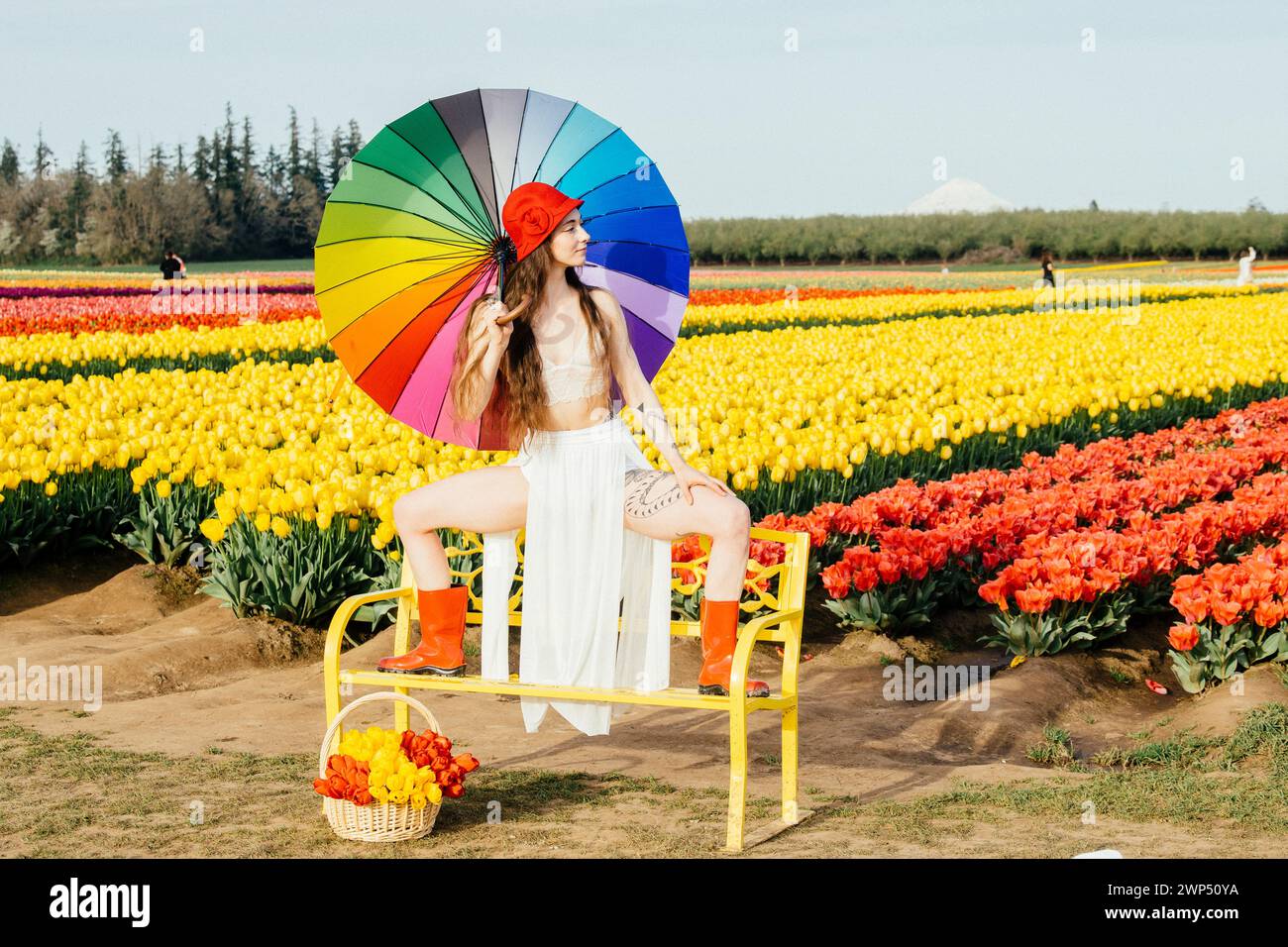 Brune aux cheveux longs se fendant sur le banc devant le champ de tulipes Banque D'Images