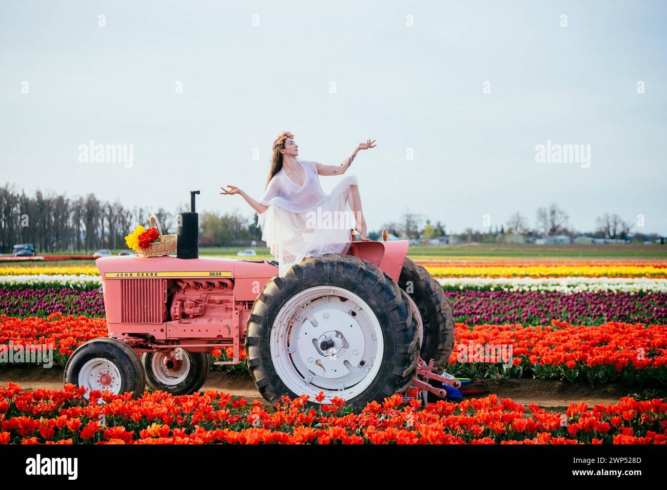 Femme faisant fendre sur le dessus du tracteur debout dans le vaste champ de tulipes Banque D'Images