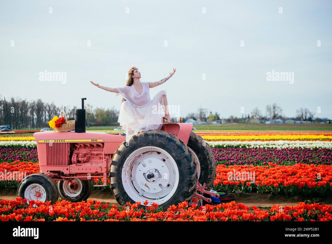 Femme faisant fendre sur le dessus du tracteur debout dans le vaste champ de tulipes Banque D'Images