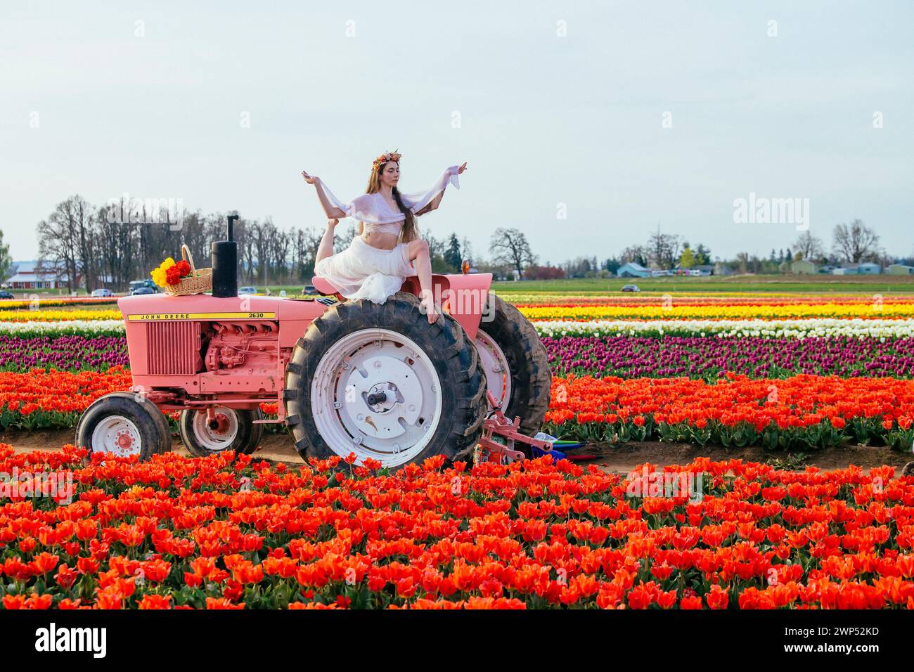 Femme faisant fendre sur le dessus du tracteur debout dans le vaste champ de tulipes Banque D'Images