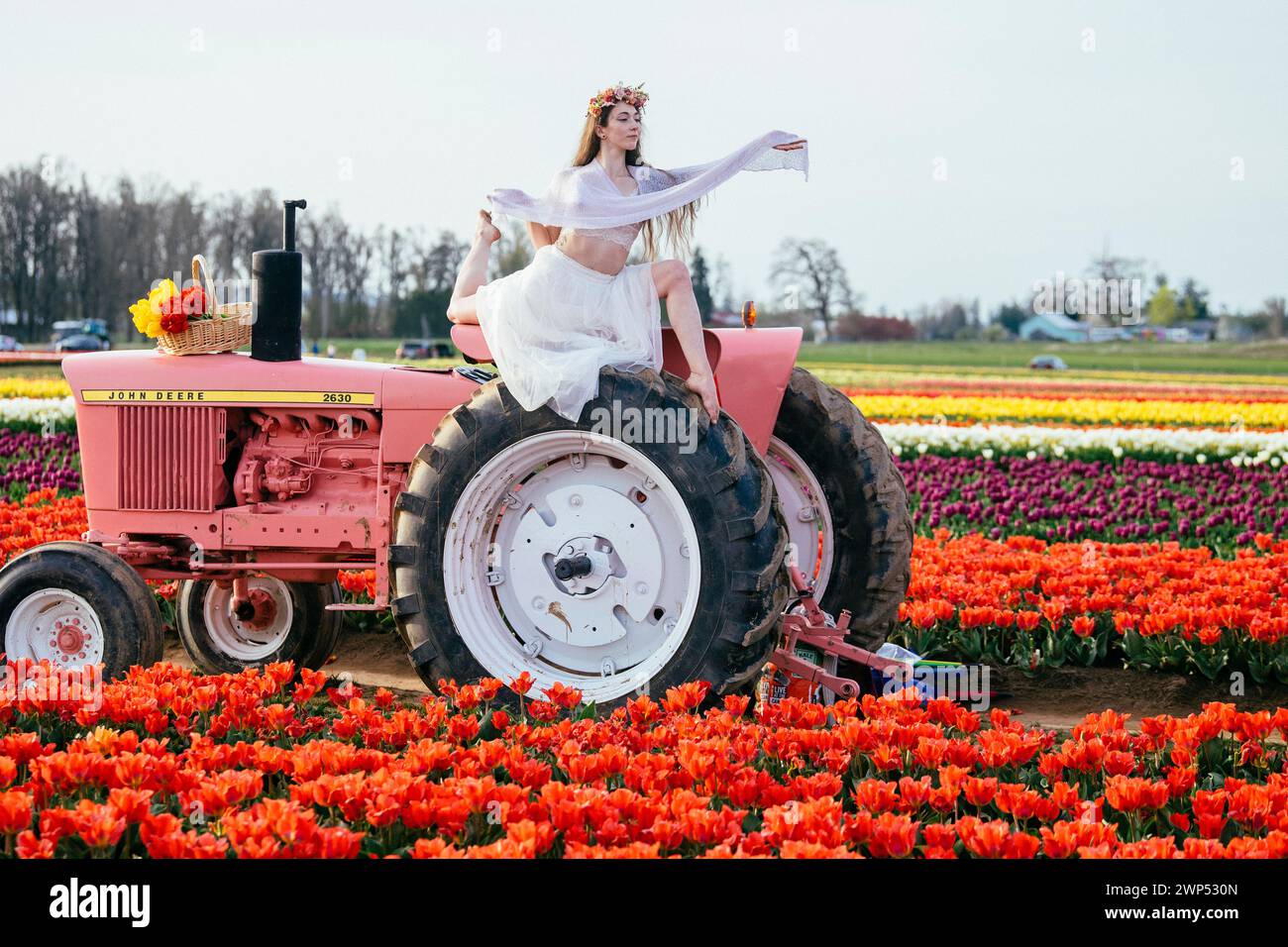 Femme faisant fendre sur le dessus du tracteur debout dans le vaste champ de tulipes Banque D'Images