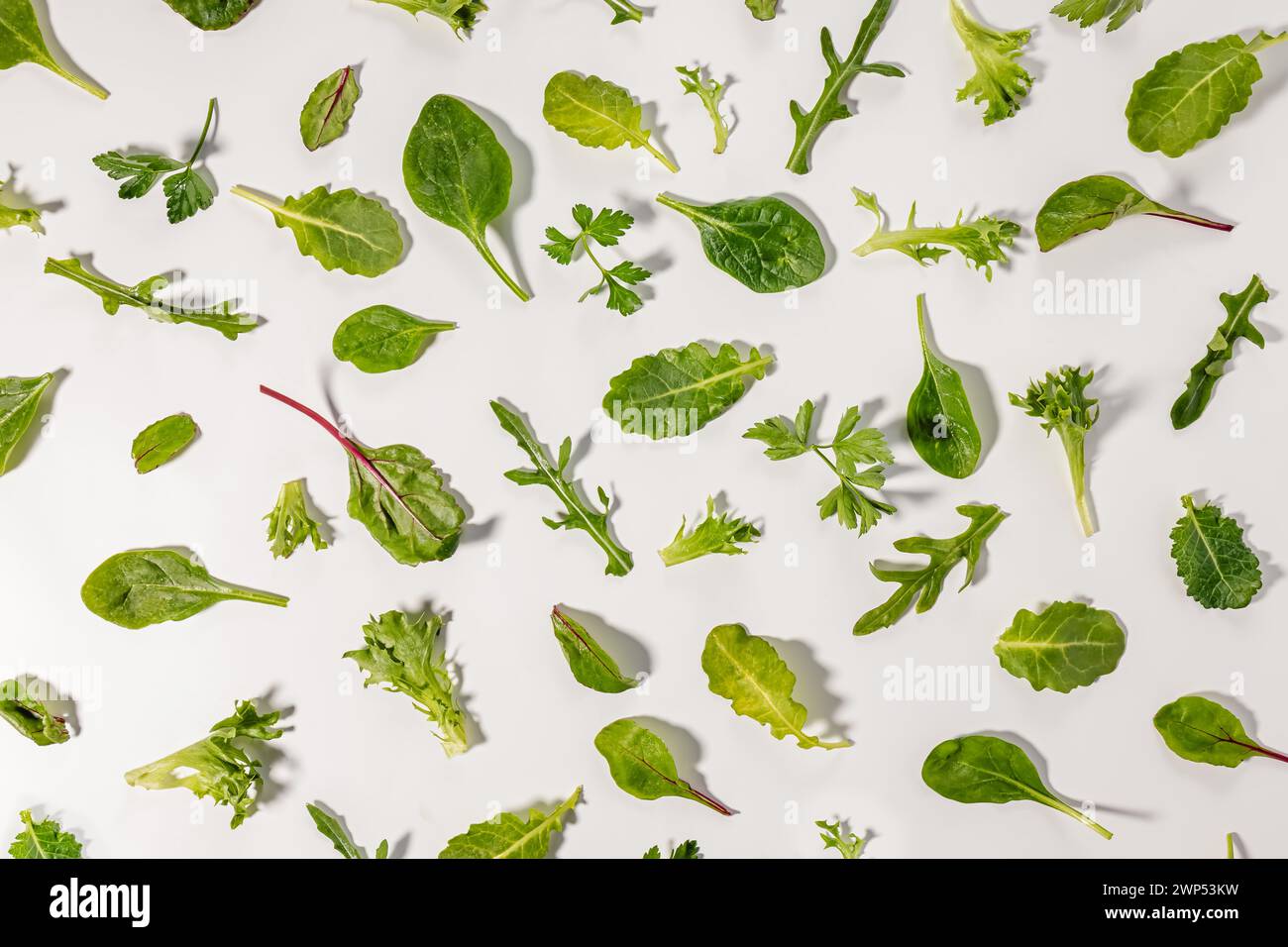Divers verts isolés sur blanc, nourriture à base de plantes, fond de feuilles vertes Banque D'Images