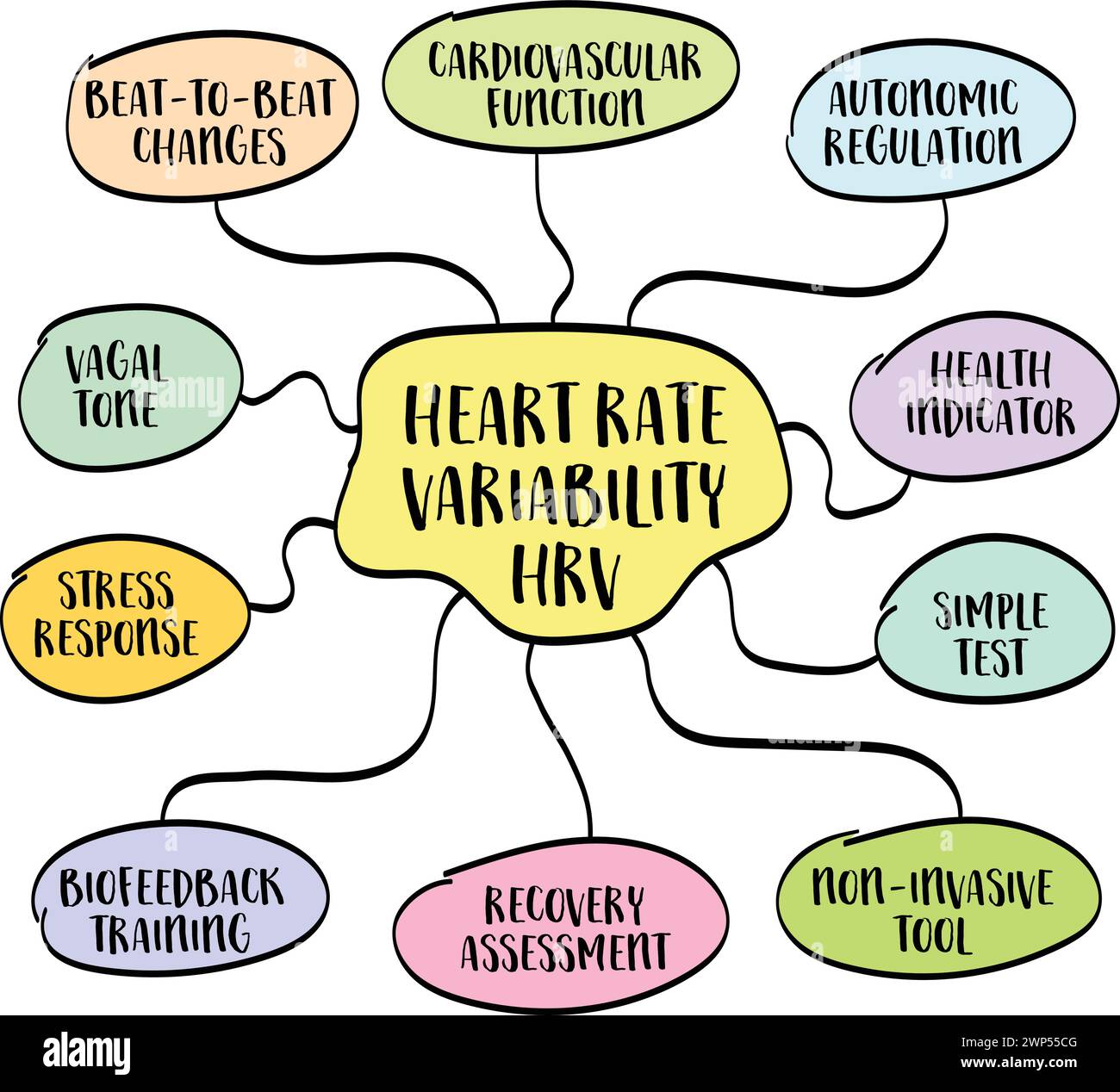 Variabilité de la fréquence cardiaque, HRV - infographie carte mentale, concept de santé cardiovasculaire, croquis vectoriel Illustration de Vecteur