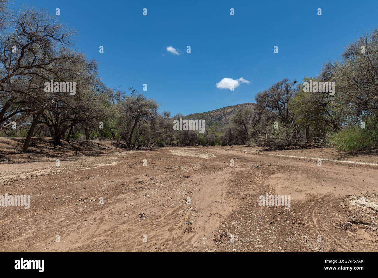 Le lit sec de la rivière Ugab, Damaraland, Namibie Banque D'Images