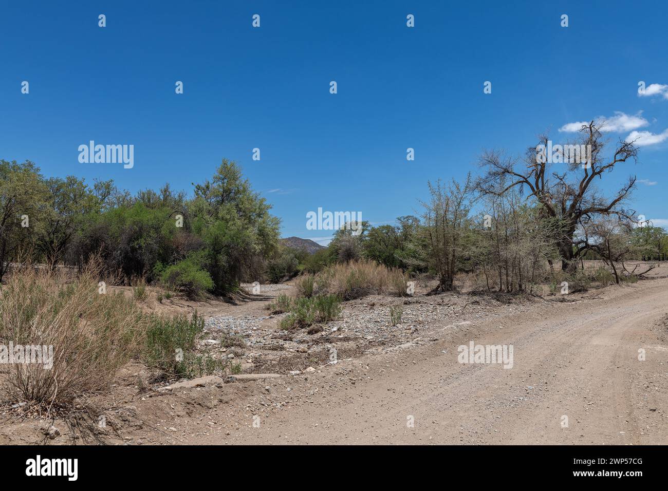 Le lit sec de la rivière Ugab, Damaraland, Namibie Banque D'Images