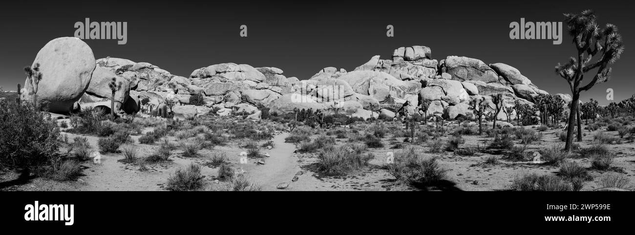 Rock Formation dans un paysage aride, Joshua Tree National Monument, California, USA Banque D'Images