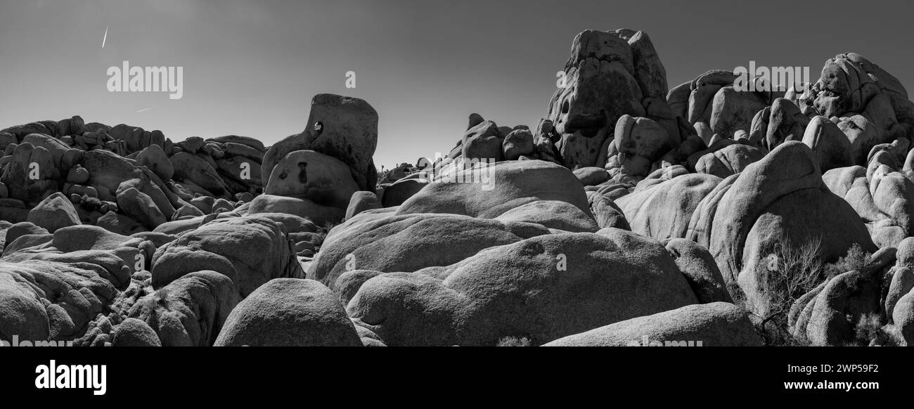 Rock Formation dans un paysage aride, Joshua Tree National Monument, California, USA Banque D'Images