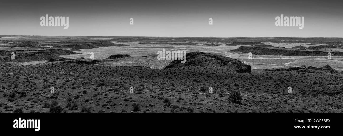 Paysage avec formation de roche dans le désert au coucher du soleil, Blue Mesa, Petrified Forest National Park, Arizona, Etats-Unis Banque D'Images