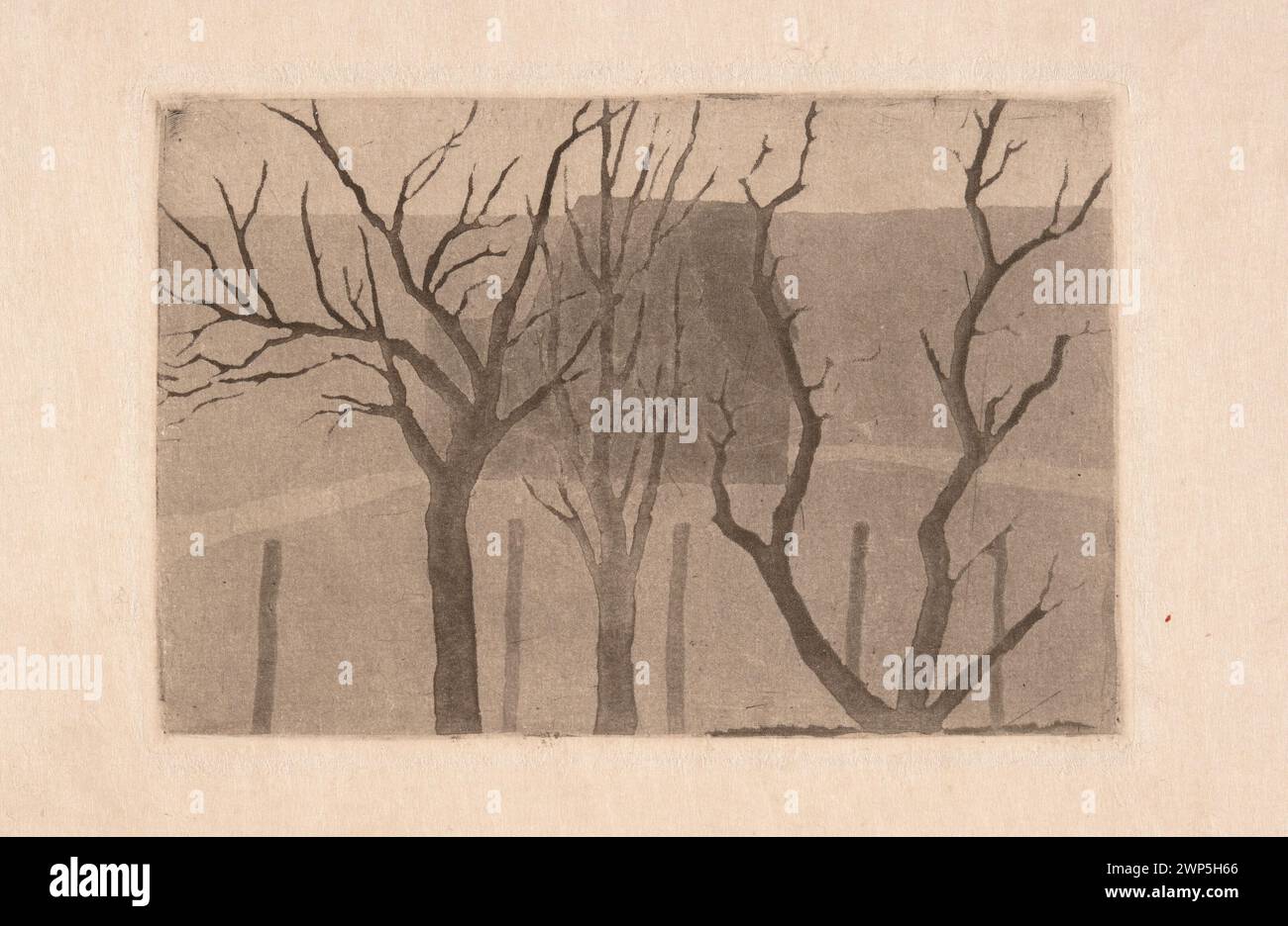 Une estampe intitulée *arbres* de Feliks Stanisław Jasiński (1862–1901), produite vers 1899 et imprimée en 1928, montre des arbres et des paysages, liés à l’Art Nouveau et au modernisme, conservés dans la collection de Léopold Wellisz. Banque D'Images