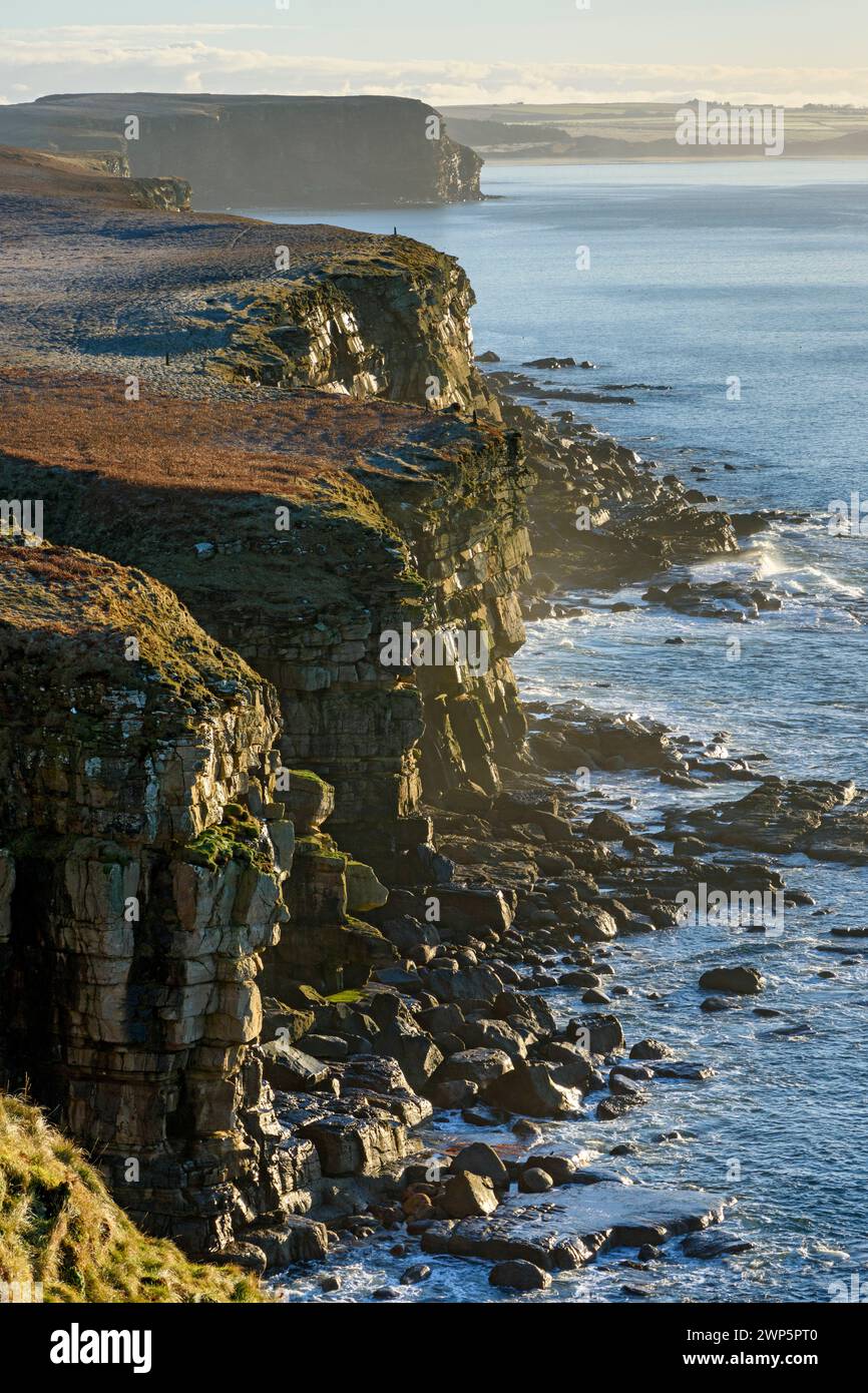 Falaises sur le côté ouest de Dunnet Head, Caithness, Écosse, Royaume-Uni. Dunnet Bay au loin. Banque D'Images