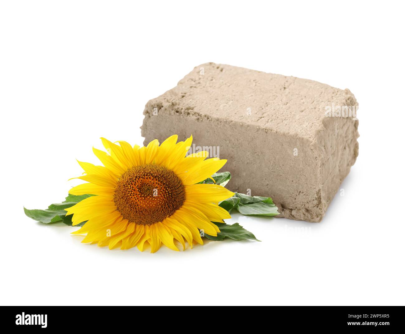 Savoureux halva et tournesol isolé sur blanc Banque D'Images