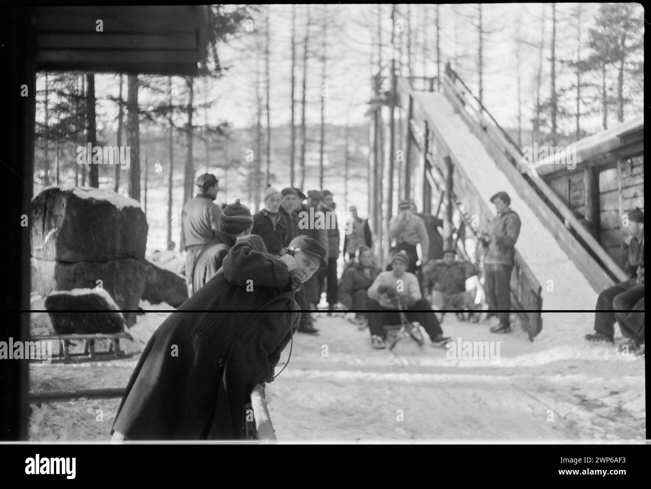 Athlètes sur la ligne de départ d'une compétition nauséabonde pour la Coupe du Comité principal de la culture physique à Karpacz, montrant des traîneaux, des participants et l'environnement des sports d'hiver en 1954. Banque D'Images