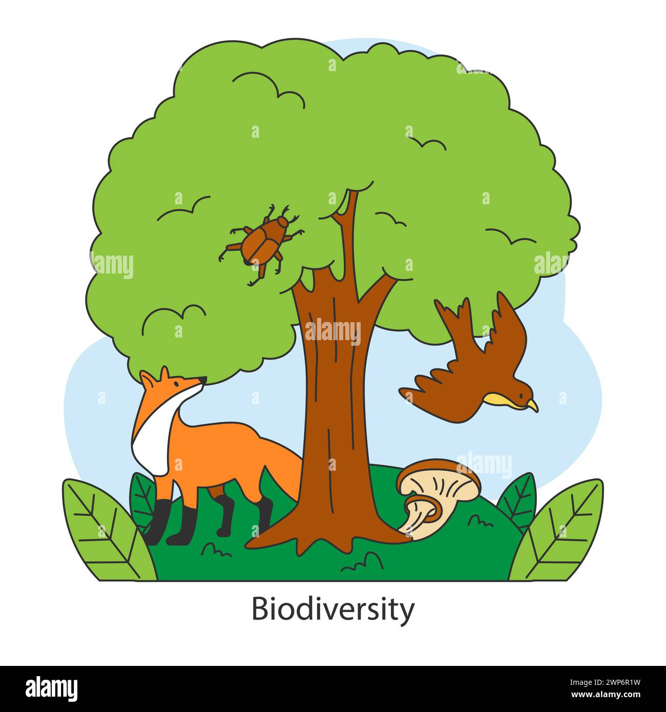 Biodiversité. Renard, oiseau, coléoptère et champignon sous un arbre luxuriant. Nature interconnectée, écosystème fragile. Faune et flore et environnement, faune et flore. Sauvegarde de l'habitat des animaux. Illustration vectorielle plate Illustration de Vecteur