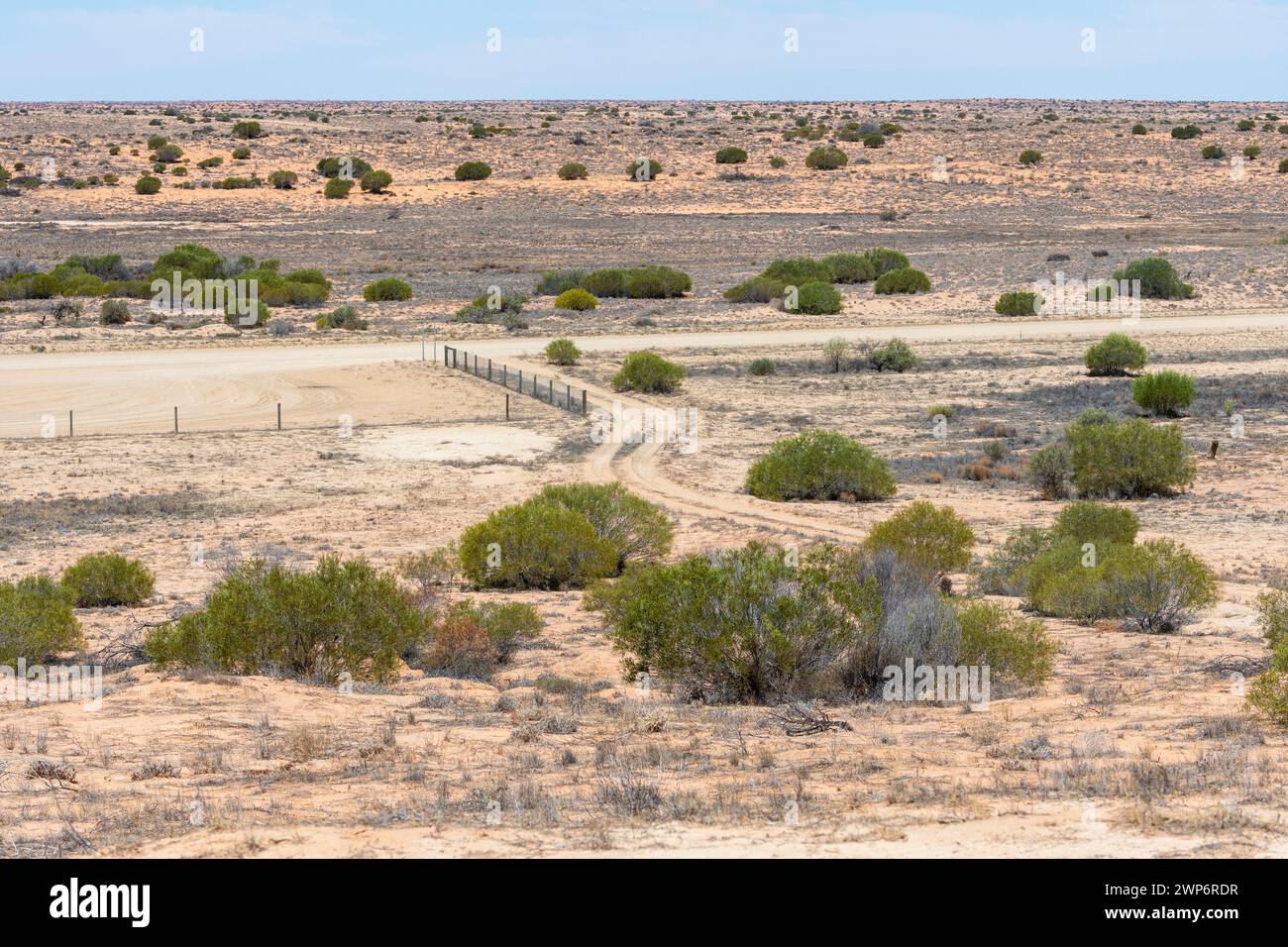 Vue de la piste de Strzelecki, Australie méridionale, Australie méridionale, Australie méridionale Banque D'Images